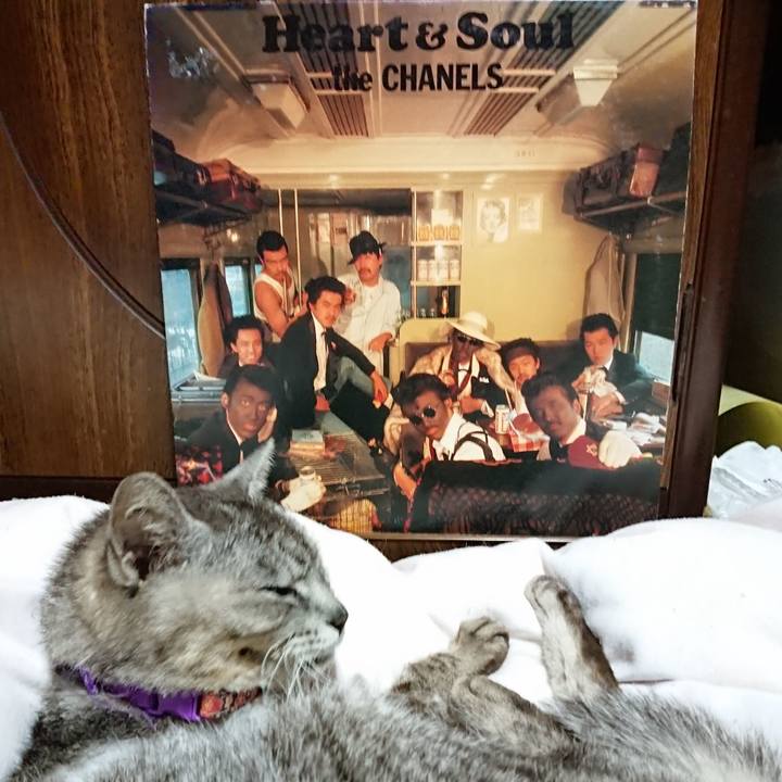 4aa3a3a5 ef20 4d45 acf9 7485cc2658bd 1593000526128