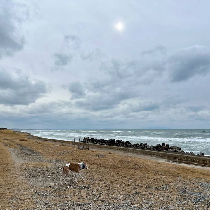 4aa3a846 f344 4e03 a993 95a41b04046b 1766046235997