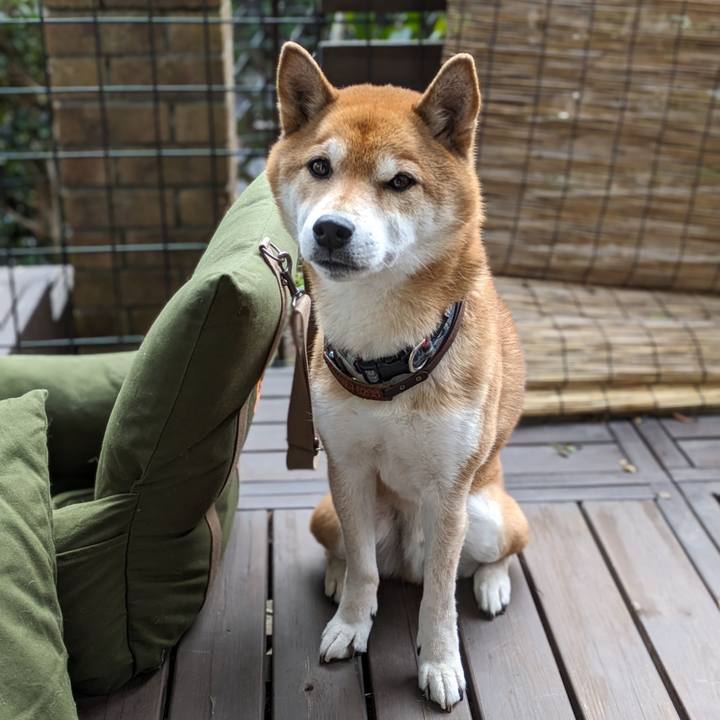 4aa3b164 2130 4c26 8d7e a9da05c5fbb0 1705894698286