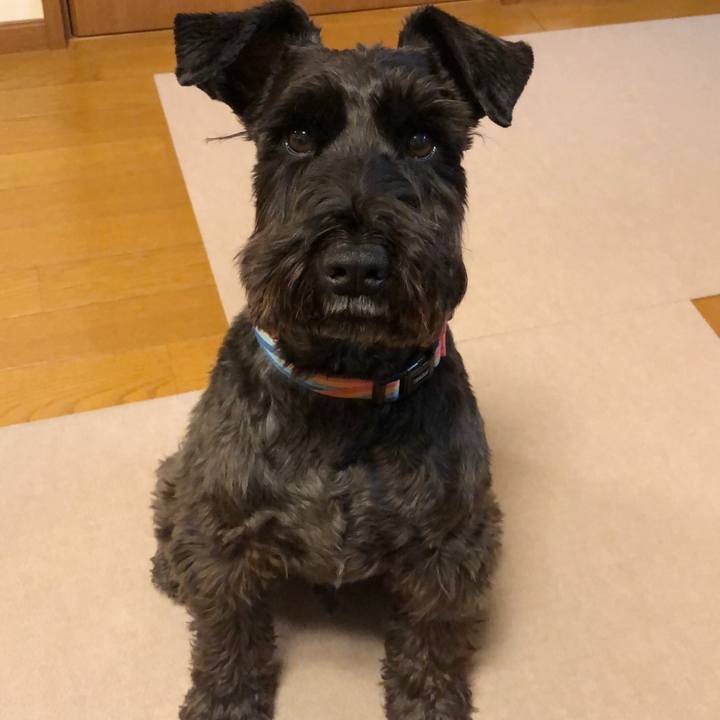 4aa3c8d1 3f44 4ff1 887c 46c72eb53dc2 1605100757537