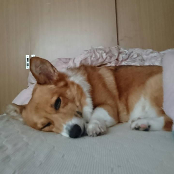 4aa3e213 9c2d 4cfe a344 6f8a6a287163 1528842468353