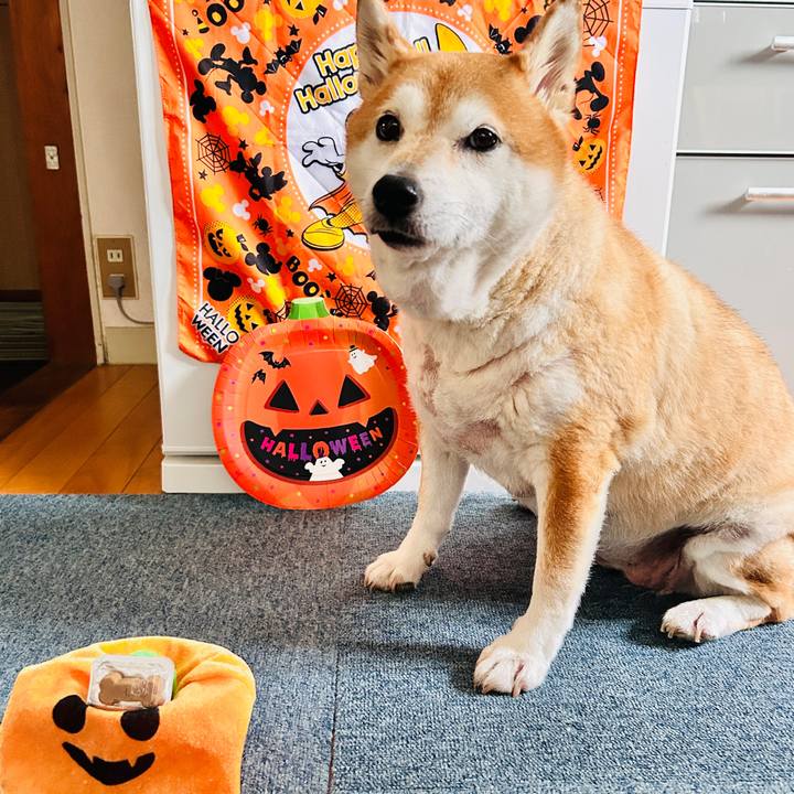 4aa3e2ef 9e26 46b9 a8cb ec2e31b3a1e6 1729825698953