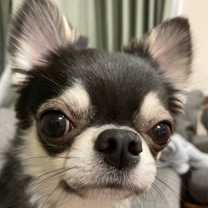 4aa422d5 d574 471f 9a93 f34b1a932880 1618145462266