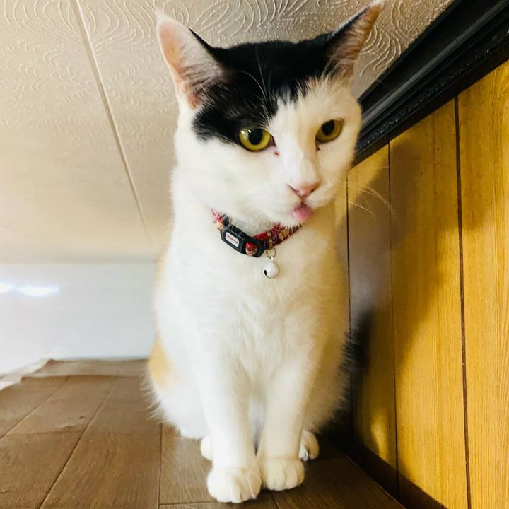 4aa44674 04f8 41fe 8271 dbf5acddf20e 1662411082613