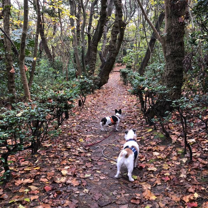 4aa44bbe 78b5 46e0 b207 3744792f6583 1542845095662