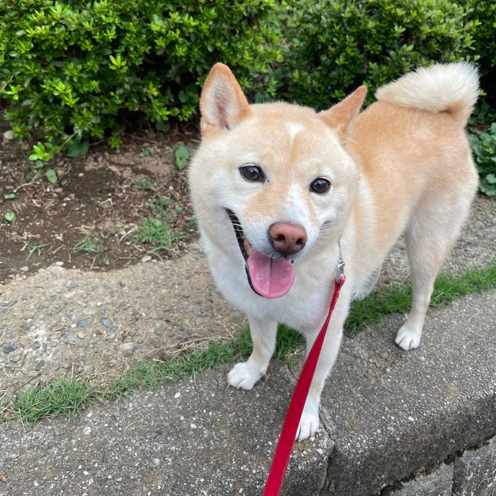 4aa45d4d 3542 44a9 9d66 899f405ed2a3 1662712829099