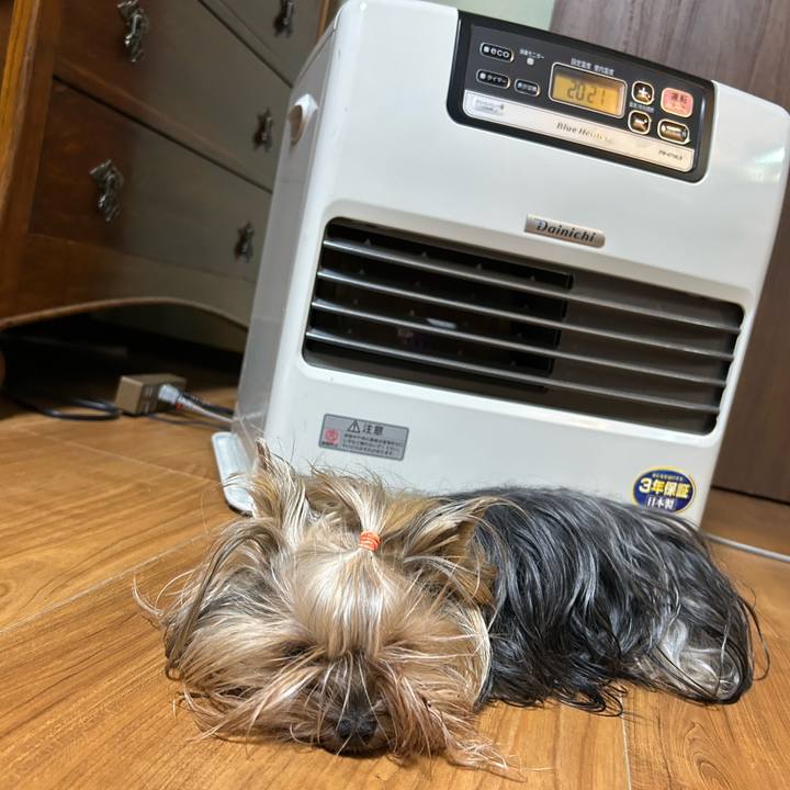 4aa461b9 69c3 4e77 a17a 857dc7a25f68 1733401813860