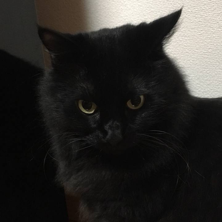 4aa46a13 d316 4e8c 885a 0de0e1a4fb4d 1541586572860