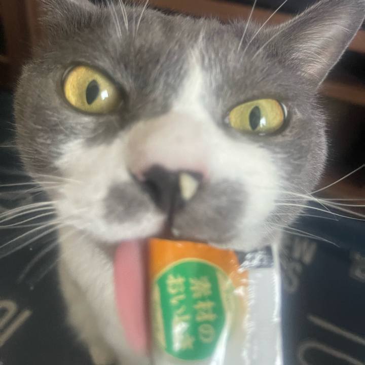 4aa46c9b a010 422d 9f98 6cb138519095 1718345096958