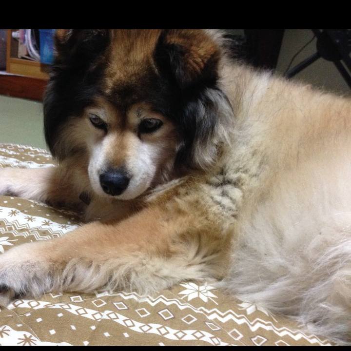 4aa4f753 f9c1 4310 b853 57daf1462614 1616220174215