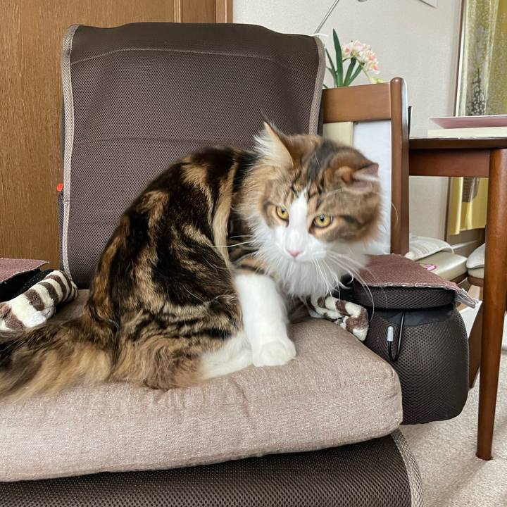 4aa50ffd a8bf 4b2a 8d7c b1941c8bb965 1647691463086