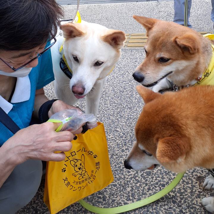 4aa51220 56e2 4135 8d92 d9a06e830427 1658555307143