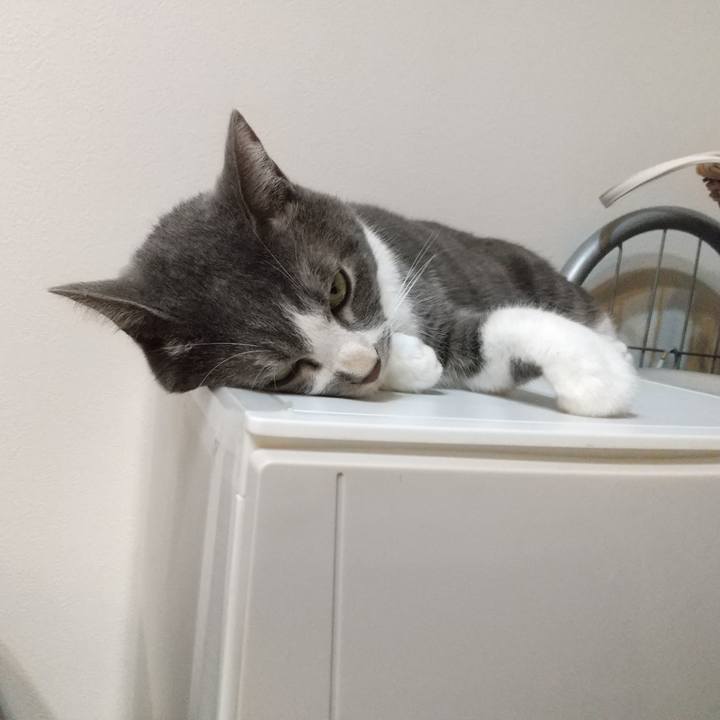 4aa51a64 6aa8 4f45 9174 27c74d754a70 1632834199270