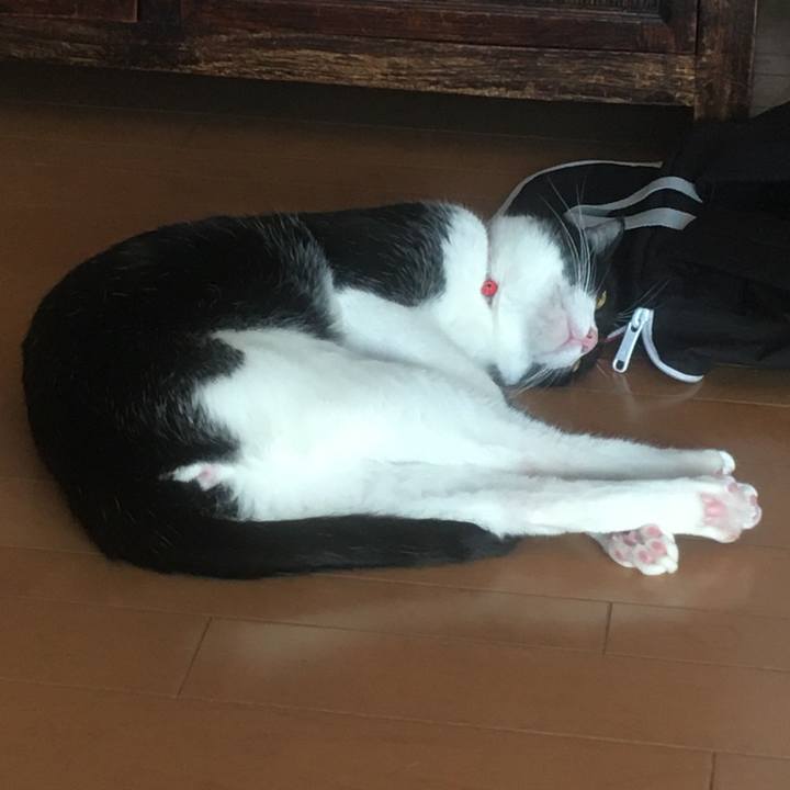 4aa51e2d dcc5 4567 8e8f fe8b1e3cdc71 1584517877983