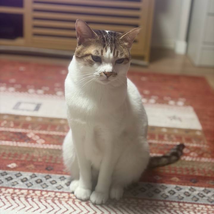 4aa51e92 4785 4db5 9f73 af92be55142c 1767929161945