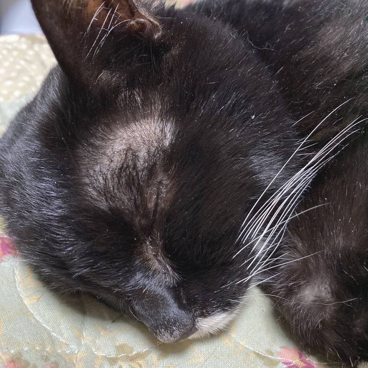 4aa527b4 2f11 4dee 940e c58a2d8a46a5 1641398820896