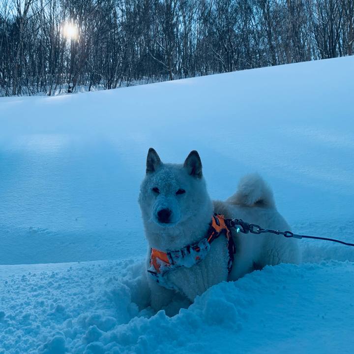 4aa52ce4 0286 4fc8 8807 f668c674802d 1675388444392