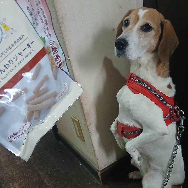 4aa59fcb dffd 4022 9719 956b7f29f1a1 1763704120628