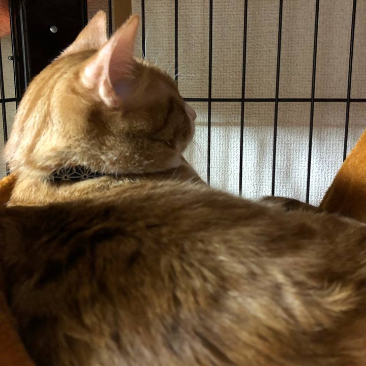 4aa5af88 458e 46ff b083 f29924d516da 1553502641284