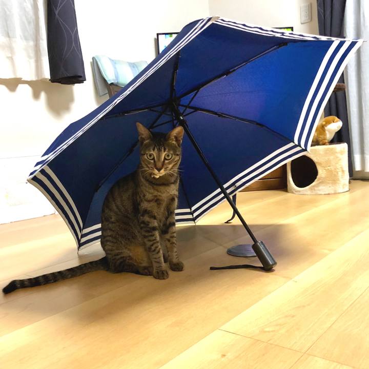 4aa5d0ef 0e07 4c11 a8a8 5702db4174de 1525693256430