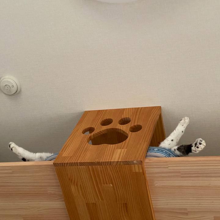 4aa5f5ab fdb4 47b9 adee 07977e6a08d0 1599664964567