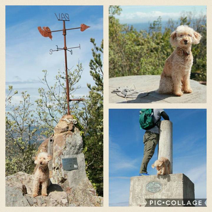 4aa61f98 639f 420f 89ce 51a3df61d744 1558533073907