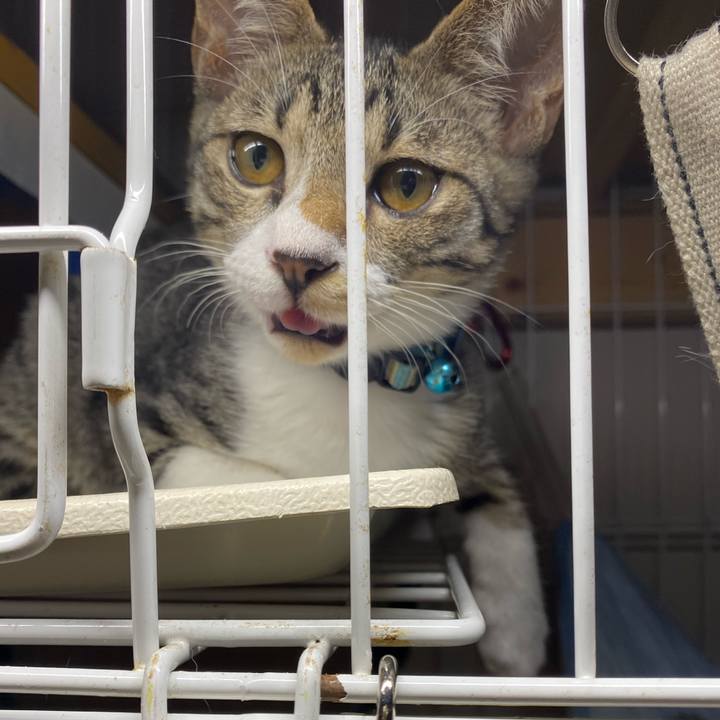 4aa6245e e394 44f6 81d9 2bea636bd6f7 1629448012930