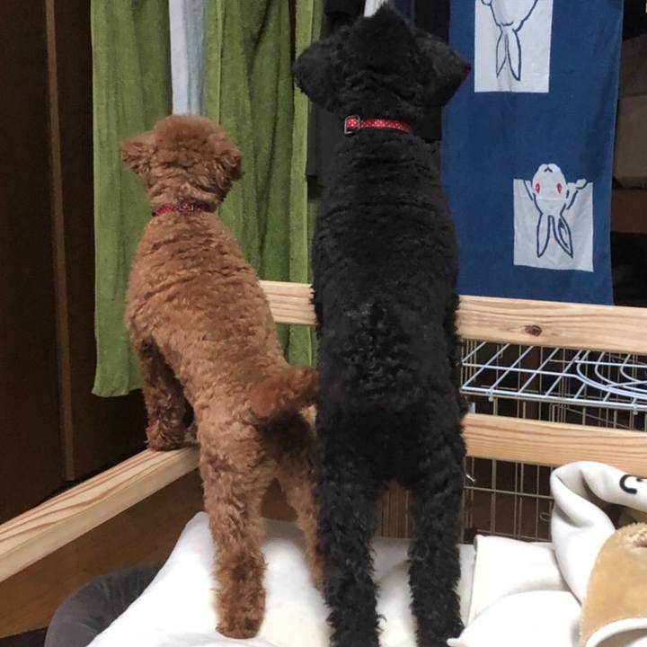 4aa62aa7 147e 4e95 b1ec 16c061a6078e 1582935911137