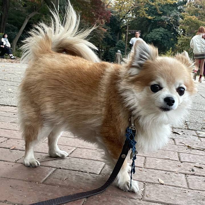 4aa64f3d de81 406a ba1a 791169792625 1763877013190