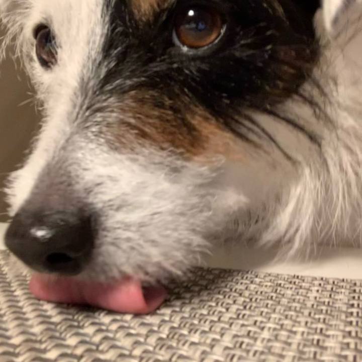 4aa6593a 0c06 4dca 8514 149bf8c37168 1618481332801