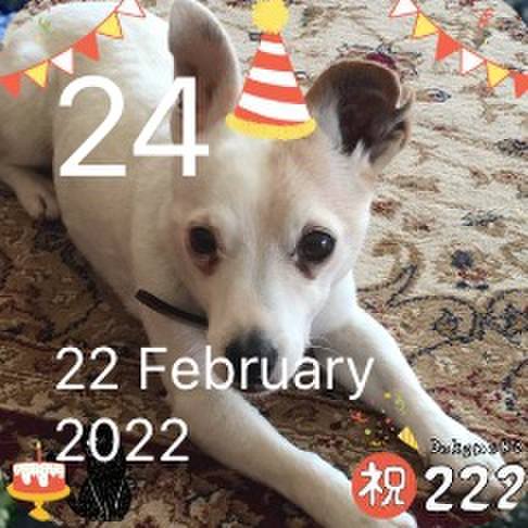 4aa667fe b816 4a7b a2ef 3c6cd4ed7407 1771925789756