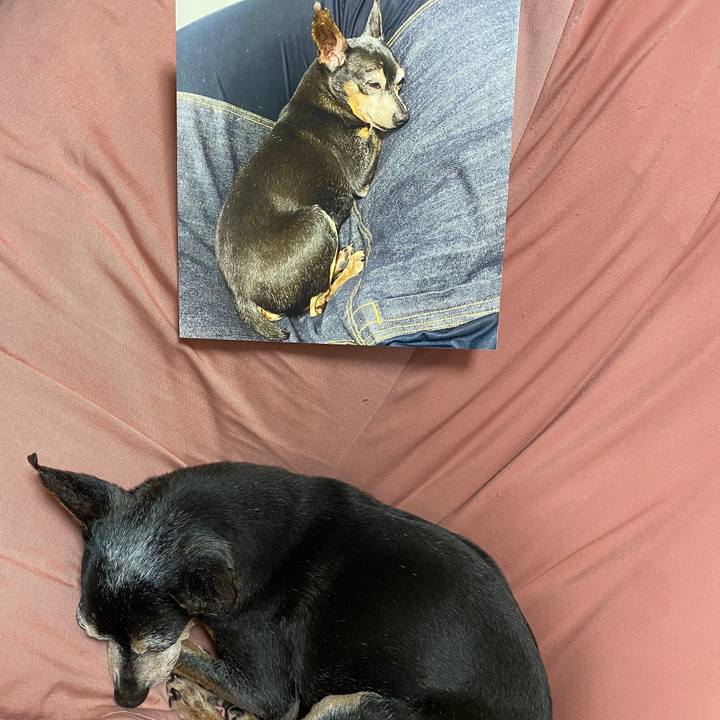 4aa69608 48ff 4528 b7cd 8721c9bd1198 1591967054318