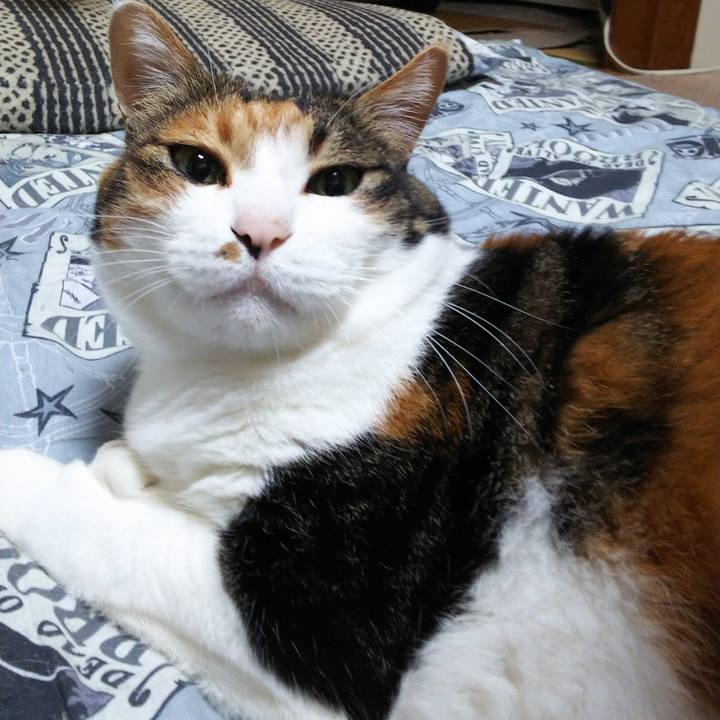 4aa6af14 0380 4d78 a799 d3f59a1f0b92 1531777066424