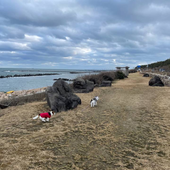 4aa6b0e2 8951 4b1d bb98 c129fee416fb 1642983430831