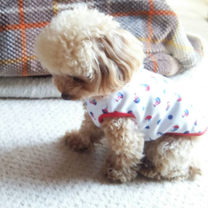 4aa6c43b 7315 42c2 ba5a 7e3215c83aa6 1516881024613