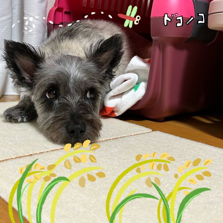 4aa6cc24 7c93 45be 8957 7582f0eaf754 1763354572389