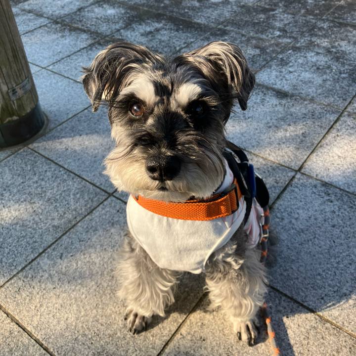 4aa71ac0 141b 49e5 ba58 1171beec24cd 1745986999315