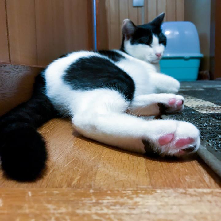 4aa75d04 02af 4c94 8e51 88e5e64c48a2 1510100919972