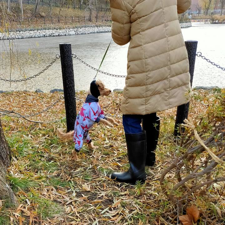 4aa76841 0bcb 4e6e 86c5 6a48bf1e42bc 1607237088030