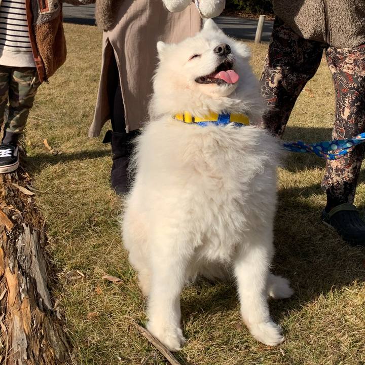 4aa77ad1 773f 475a a338 ed345e326963 1639199594377