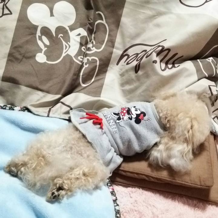 4aa786f0 311f 4702 ae2f 4cf37b2865d1 1540387191574