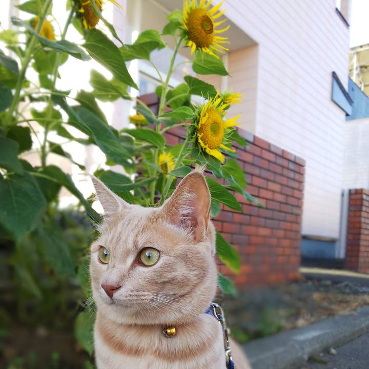 4aa79cb4 17f4 454f a0db 396adc6d6339 1567467981891