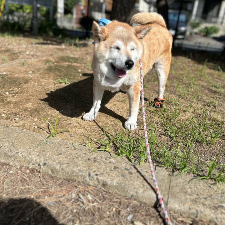 4aa79ea6 ec6e 419f a1e1 e1c968bf53dd 1752796419765