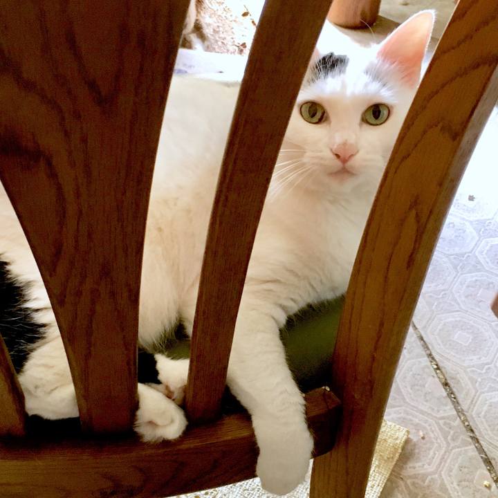 4aa7aa60 f7d3 4740 8d94 381cb4b3ba7f 1566876964492