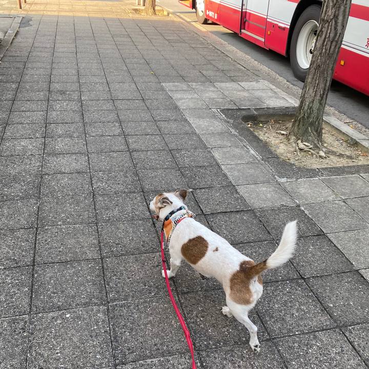 4aa7c2e0 46a8 4dfe b5a8 82fad71eaa67 1598397058856