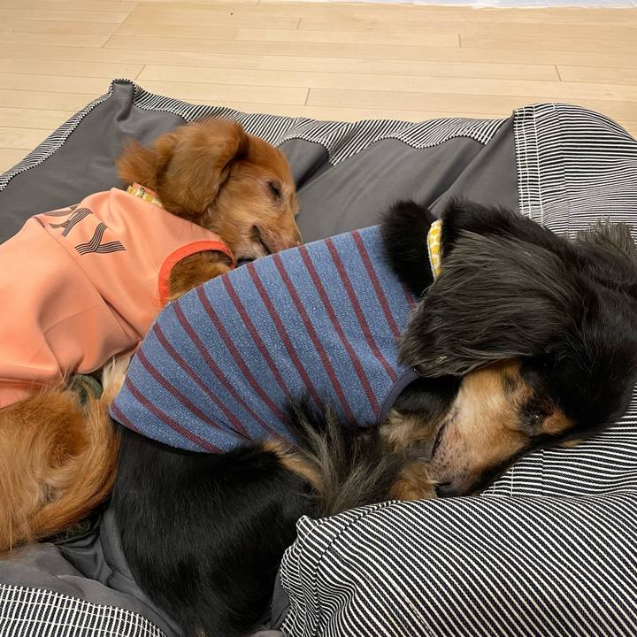 4aa7c5f4 5af1 4e31 83e6 5502da6400ab 1676856266701