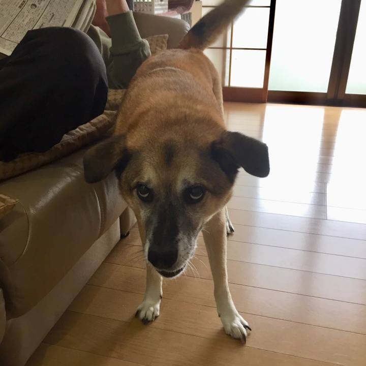 4aa7f135 f0e9 46e1 a866 9d9caf58fd4d 1538299794481