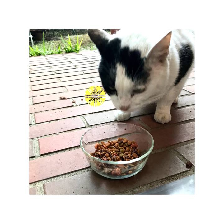 4aa82ef0 4074 4ba5 ab46 ca756fd9b336 1639896797300