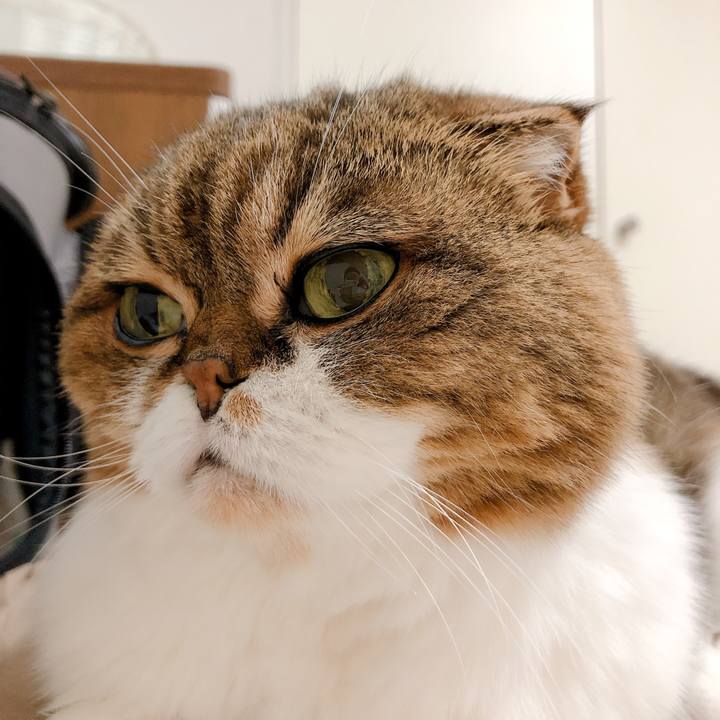 4aa856b1 deee 43a6 93a0 6274f6a91d4b 1594592205071