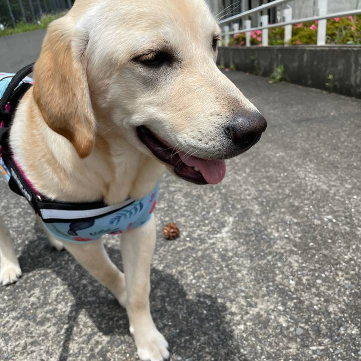 4aa88810 774a 4526 81af d2a4042b6a9e 1622176530560